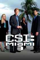 C.S.I. Miami 3