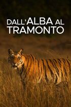 Dall'alba al tramonto