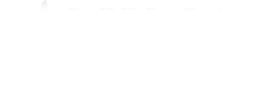 Anima gemella logo