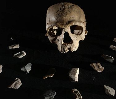 Homo Sapiens - La riscoperta delle origini