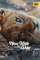 New kids in the wild 2
