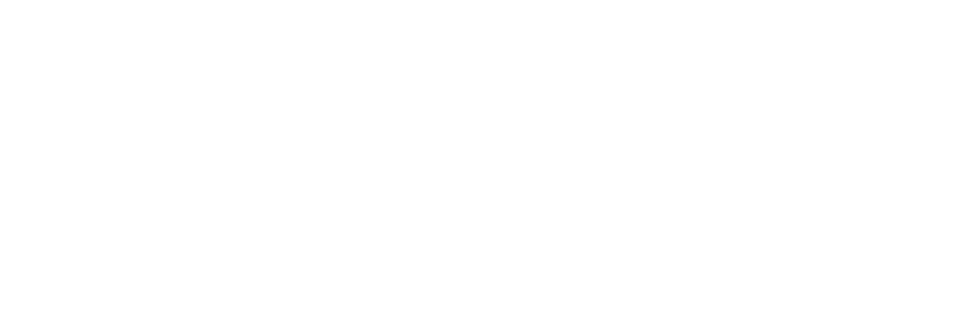 New kids in the wild 2 logo