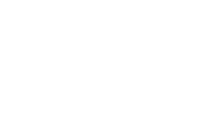 66-5 - Roxane Bauer avvocata penalista logo