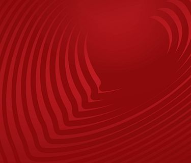 Amichevoli Internazionali 2024