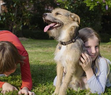 Dalla parte degli animali kids