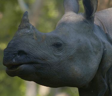 Paradisi selvaggi (di t. barton-humphreys)