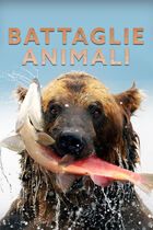 Battaglie animali