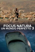 Focus natura - Un mondo perfetto 3
