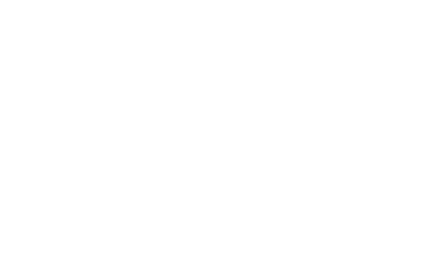 Fargo 4 logo