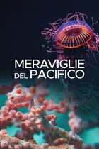 Meraviglie del pacifico