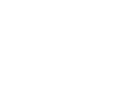 The Bank Hacker logo