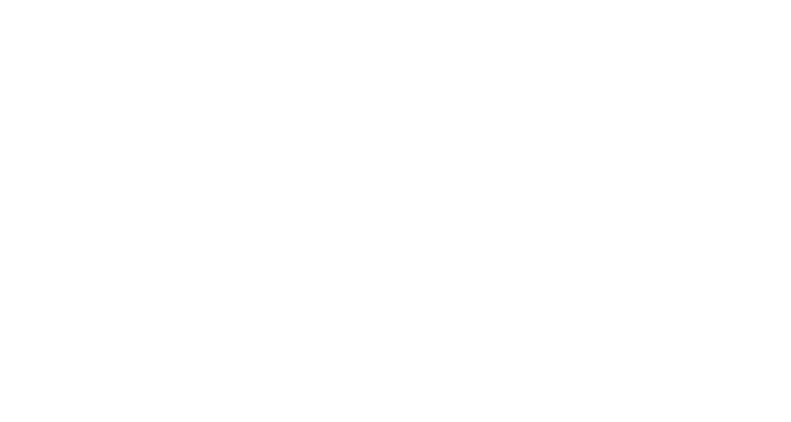 Harry Wild - La signora del delitto 2 logo