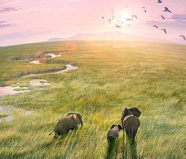 Planet Earth III - Le meraviglie della natura