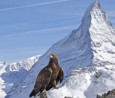 Alpi - Vivere all'estremo