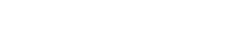 Formula E 2025 logo