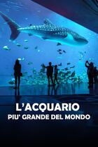 L'acquario più grande del mondo