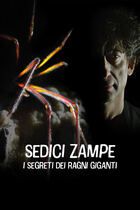 Sedici zampe - I segreti dei ragni giganti