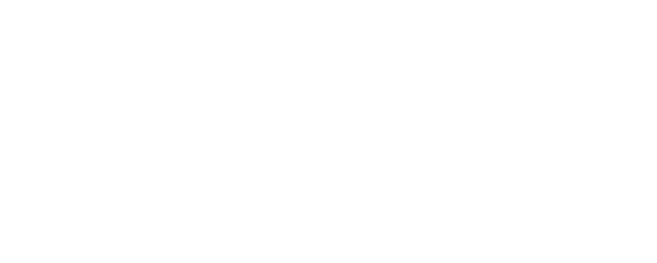 FIA World Endurance Championship logo