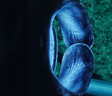 Maldive: il regno acquatico dell'oceano indiano