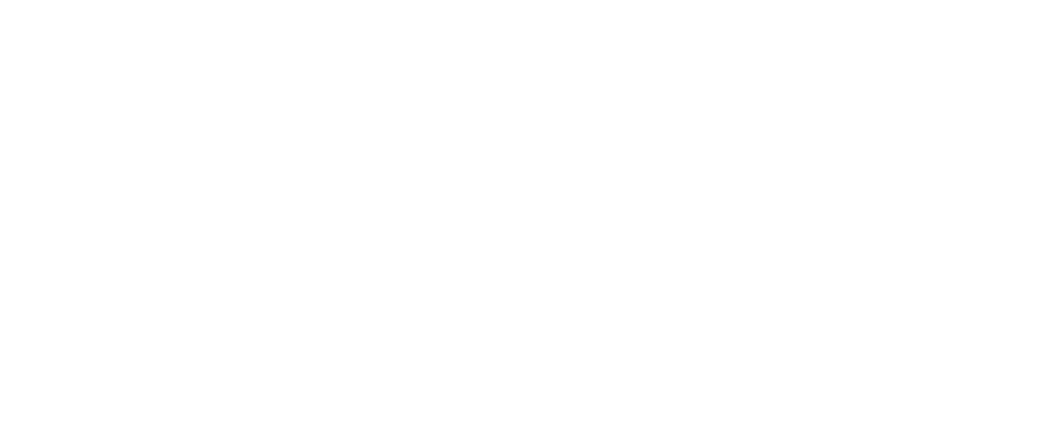 Come funziona l'universo logo