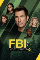 FBI: Most Wanted 6