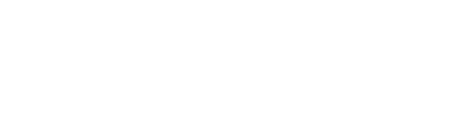 Il viaggio meraviglioso logo