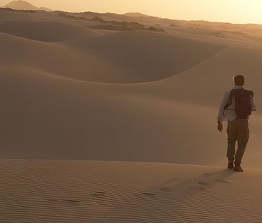 Focus natura - Un mondo perfetto 4