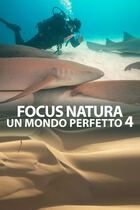 Focus natura - Un mondo perfetto 4