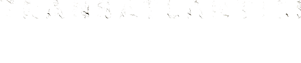 Transatlantici: storia e segreti dei giganti del mare 2 logo