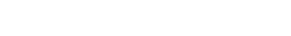 Wild Argentina logo