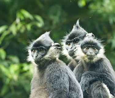 Vietnam: meraviglie della natura