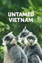 Vietnam: meraviglie della natura