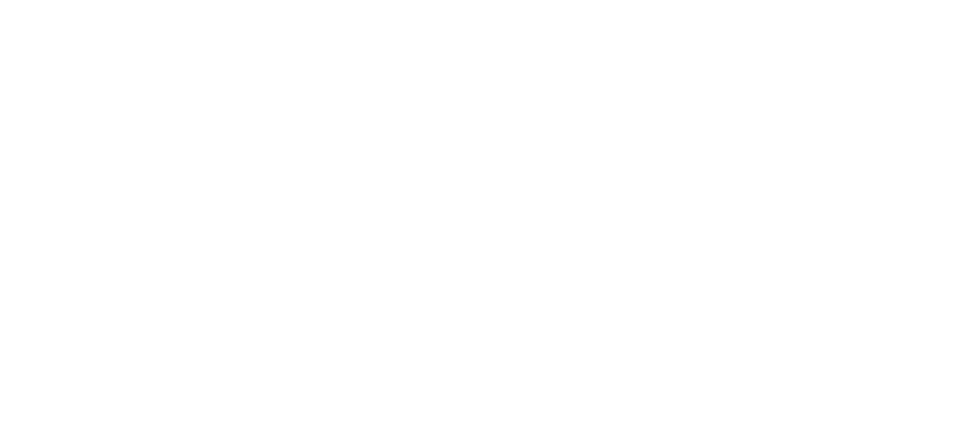 TAF 11 - The Art of Fighting logo