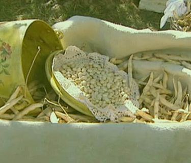 Le storie di Melaverde