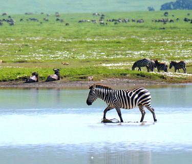 Vita e natura d'acqua dolce
