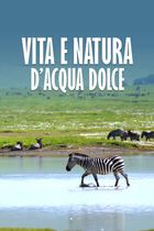 Vita e natura d'acqua dolce