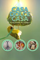 Casa dolce casa - Dove vivono gli animali