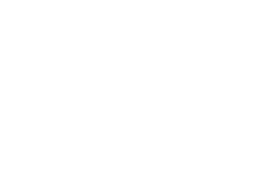 TAF 13 - The Art of Fighting logo