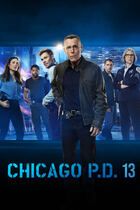 Chicago P.D. 13