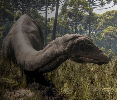 Secrets of the jurassic dinosaurs