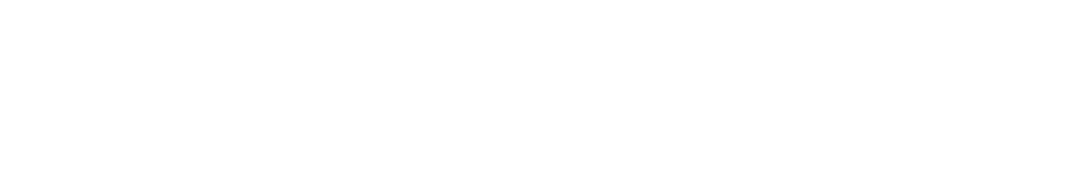 The Equalizer