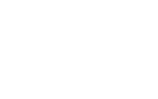 Harry Wild - La signora del delitto 5 logo